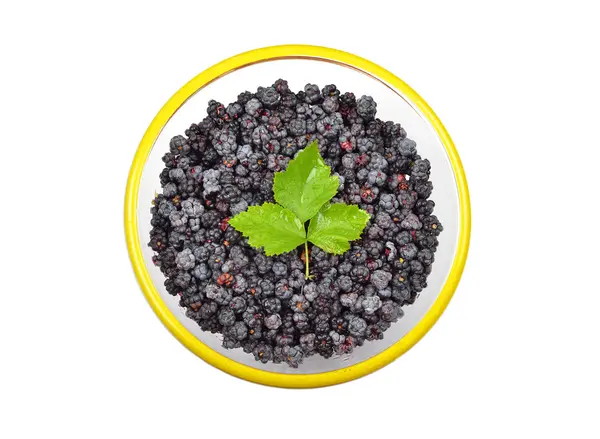 Blackberry (rubus) in glass bowl — Stock Photo, Image