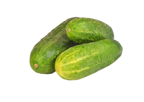 Cucumber gherkin on white — Stock Photo, Image