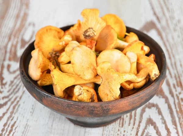 Chanterelle mushroom on bowl — Stock Photo, Image