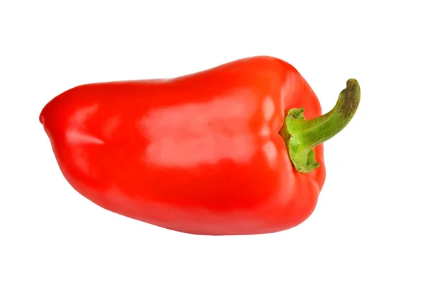 Červenou papriku na bílém pozadí — Stock fotografie