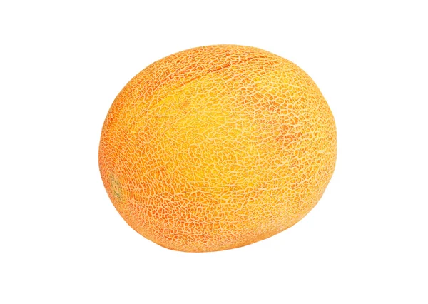 Whole cantaloup melon — Stock Photo, Image