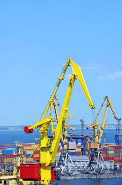 bağlantı noktası kargo vinç