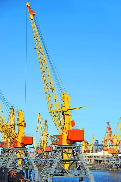 Grue à cargaison portuaire — Photo