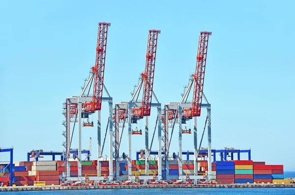 Port cargo crane — Stock Photo, Image