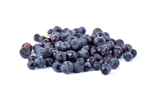 Blueberry on white — Stock Photo, Image