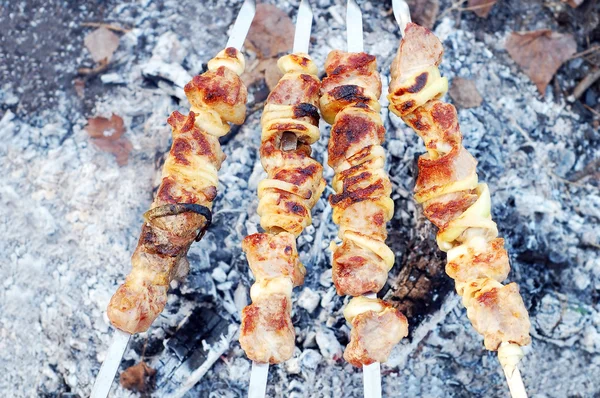 Shish kebab, DOF — Stock Photo, Image