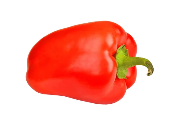 Red pepper on white — Stock Photo, Image