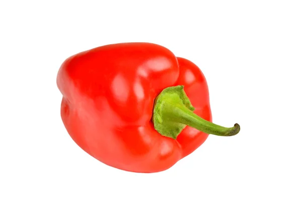 Celá červená paprika — Stock fotografie