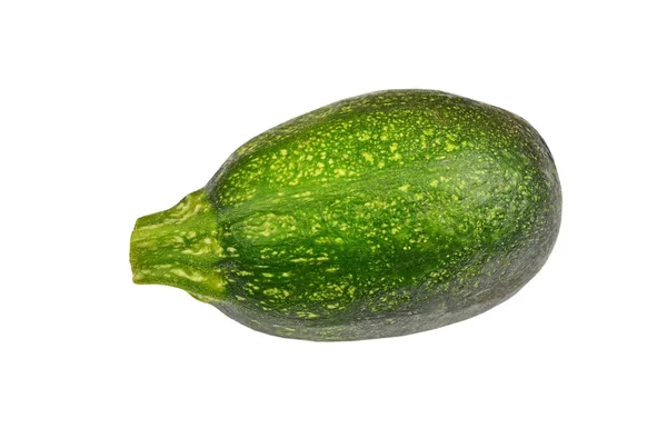 Midollo vegetale (zucchine ) — Foto Stock