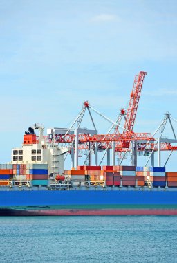 Kargo vinç ve konteyner gemisi
