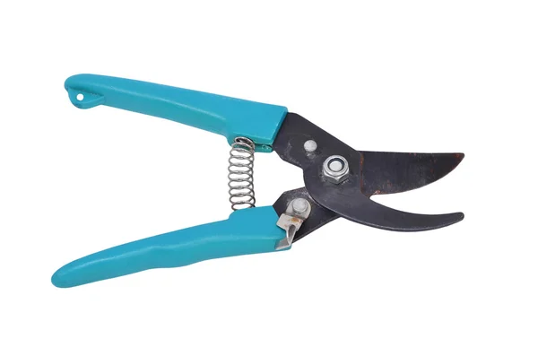 Old garden pruner — Stock Photo, Image