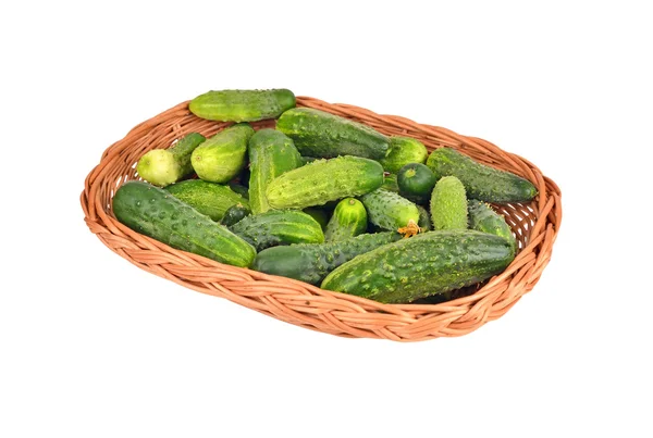 Cucumber gherkin in a wattled basket — Stock Photo, Image