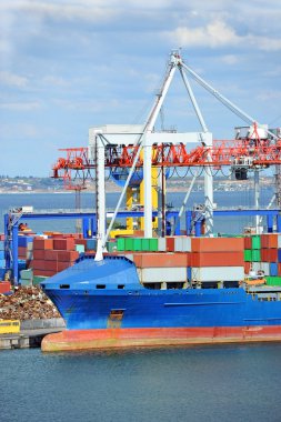 Kargo vinç ve konteyner gemisi