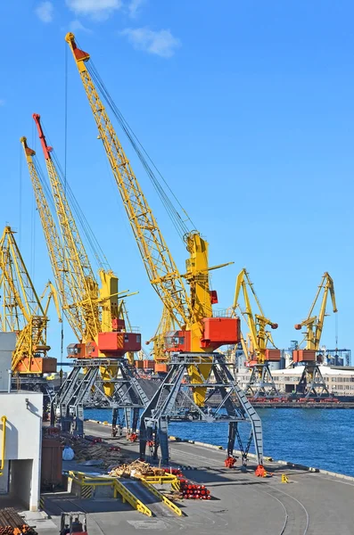 Port cargo crane — Stock Photo, Image