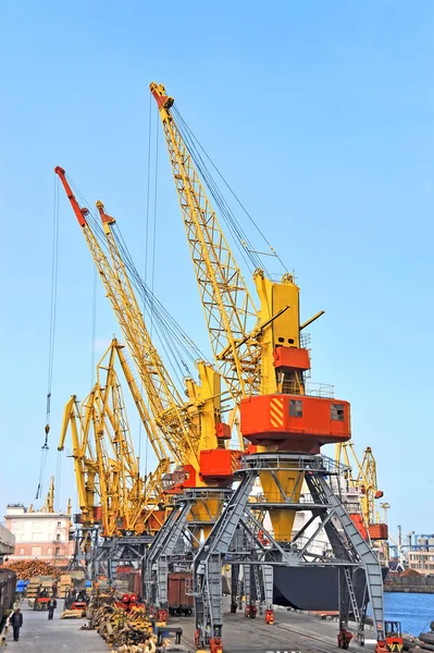 Grue à cargaison portuaire — Photo