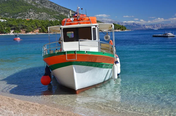 İskele motor yat