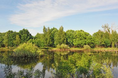 ağaç bahar ve göl