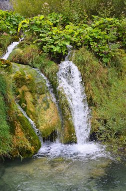plitvice göl kenarında güzel waterfal