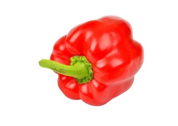 Röd paprika på vit — Stockfoto