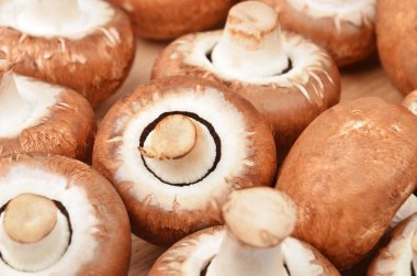 Champignon (gerçek mantar)
