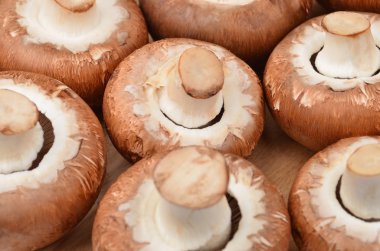 Champignon (gerçek mantar)