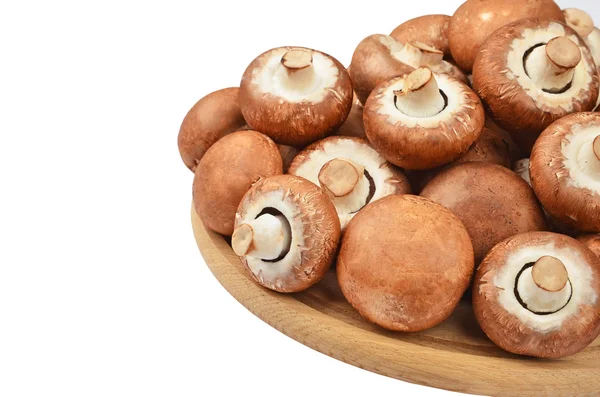 Champignon (Fungo vero) su tavola di legno — Foto Stock