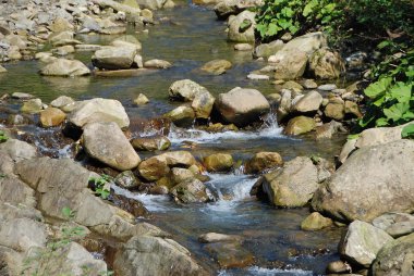 Nehri üzerinde Karpatlar