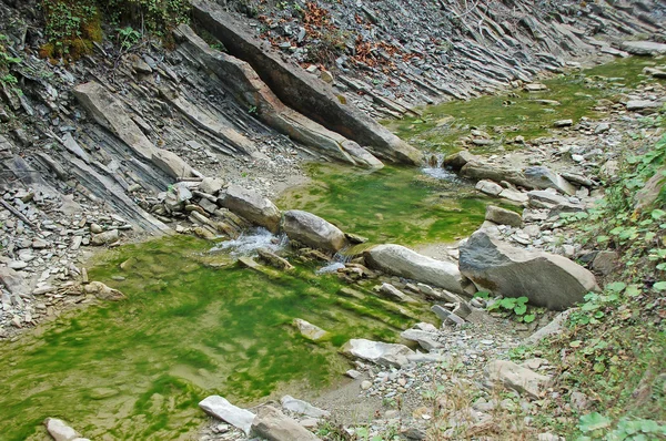 Rivier op Karpaten — Stockfoto