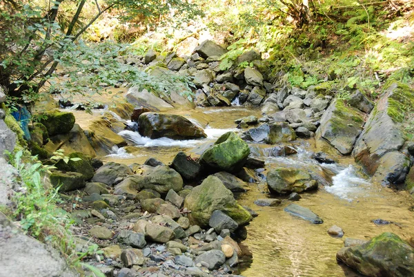 Rio nas montanhas dos Cárpatos — Fotografia de Stock