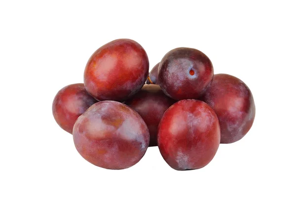 Plum on white — Stock Photo, Image