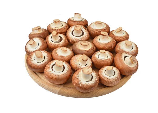 Шампиньон (Настоящий гриб) на деревянной доске — стоковое фото