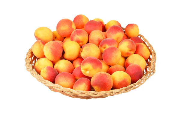 Apricot in Chalinolobus plaat — Stockfoto