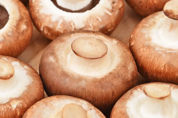 Champignon (True mushroom) — Stock Photo, Image