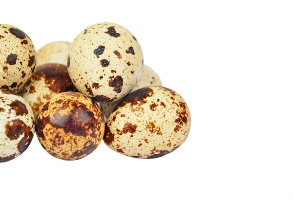Huevos de codorniz blanco — Foto de Stock