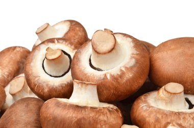 Champignon (gerçek mantar)