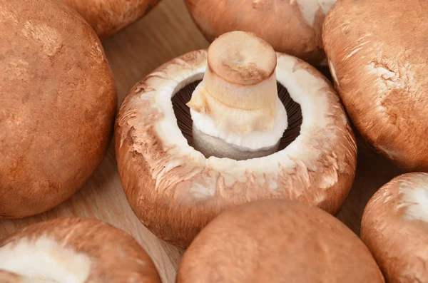 Champignon (verdadeiro cogumelo ) — Fotografia de Stock