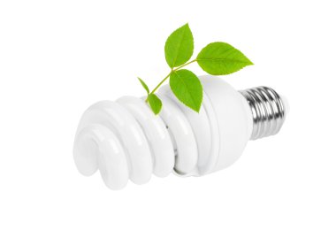 enerji tasarruflu ampul ve bitki