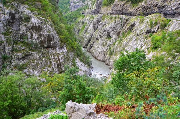 Río en las montañas Montenegro — Foto de Stock