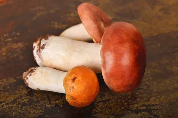 Boletus edulis Hřib na dřevěné desce — Stock fotografie