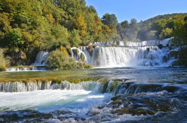 Plitvice göl kenarında güzel şelale