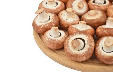 Ahşap tahta üzerinde champignon (gerçek mantar)