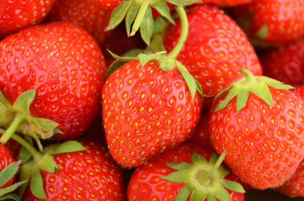 Fragola, da vicino — Foto Stock