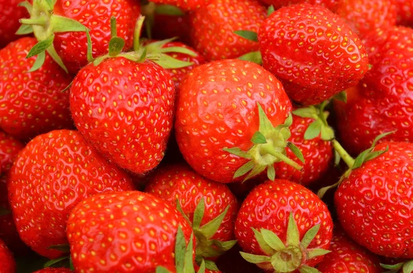 Fragola, da vicino — Foto Stock