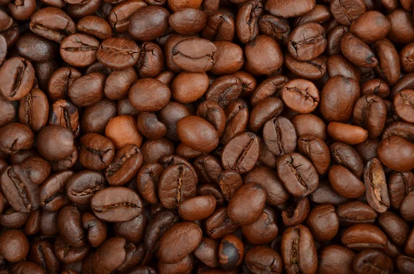 Grains de café fond — Photo