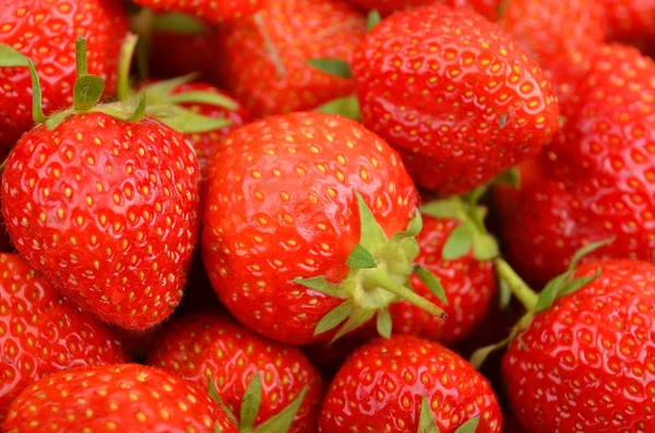 Fragola, da vicino — Foto Stock