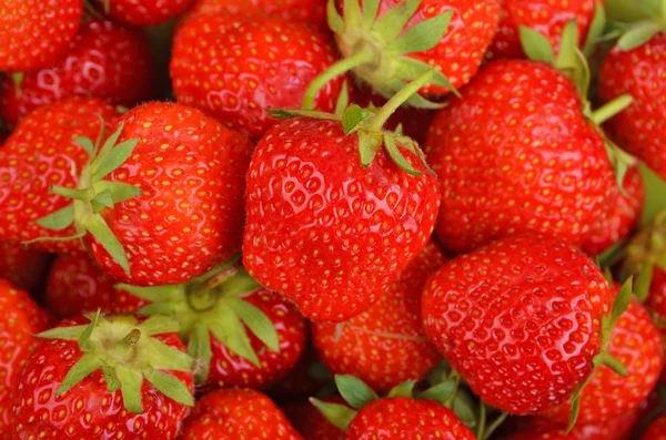 Erdbeere aus nächster Nähe — Stockfoto