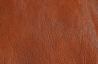 Doğal deri arka plan