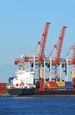 Kargo vinç ve konteyner gemisi