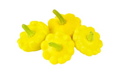 Taraklı muhallebi squash (Cucurbita pepo var. patisson)