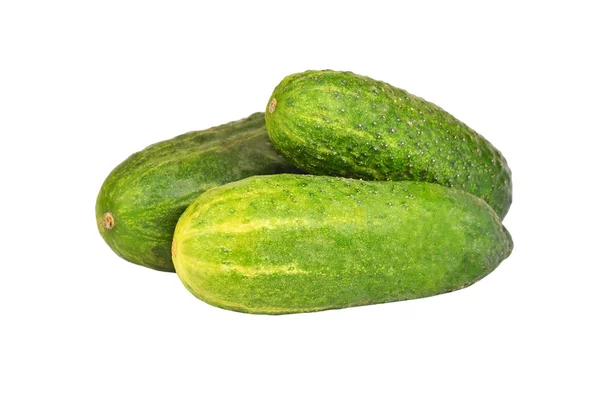 Green cucumber gherkin — Stock Photo, Image